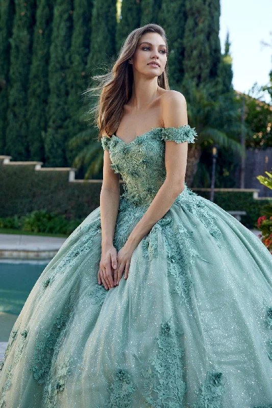 Evening dress for spectacular affair-Floral Applique Off Shoulder Ball Gown by Juliet 1445